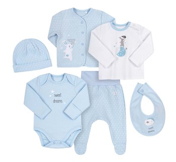 Комплект одягу для новонародженого в пологовий будинок Привіт Зайка блакитний, купити за найкращою ціною 898 грн
