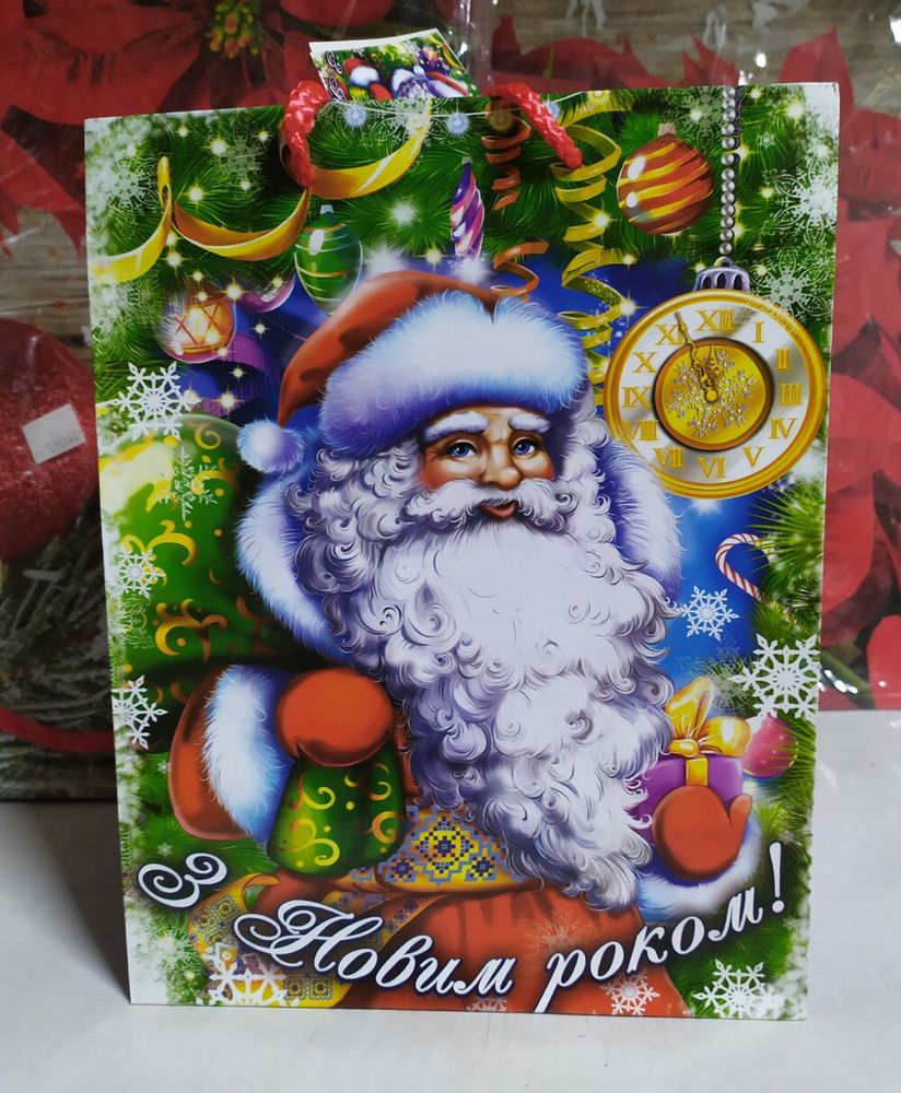 Пакет новогодний ДЕД МОРОЗ 23х18х10 см