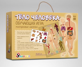 Фото, купити *Навчальна гра з багаторазовими налейками "Тіло людини" російська мова, ціна 158 грн